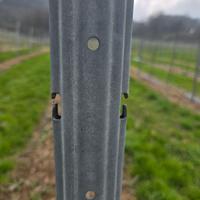 Pali vigneto consortium