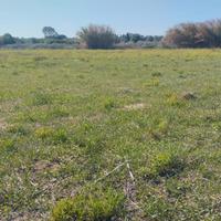 Terreno agro Sorso con fabbricato rurale