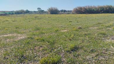 Terreno agro Sorso con fabbricato rurale