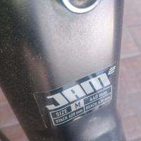 Bici Elettrica Focus