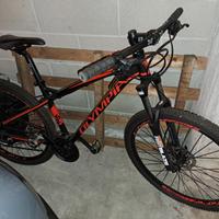 bicicletta unisex