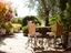 Immagine 20