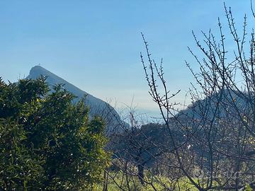 Appartamento, garage, giardino, taverna e cantina