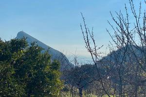 Appartamento, garage, giardino, taverna e cantina