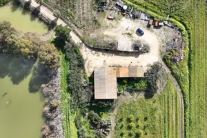 TER. AGRICOLO A ALCAMO