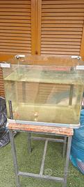 Acquario con pesci