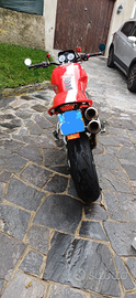 Ducati monster 1000 s2r
