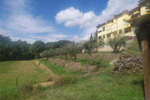 Terreno agricolo in località ruscello