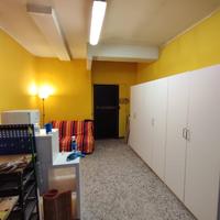 Pittore Cartegesso Elettricista