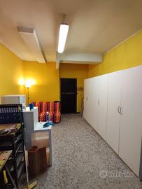 Pittore Cartegesso Elettricista