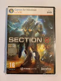 Section 8 per Windows