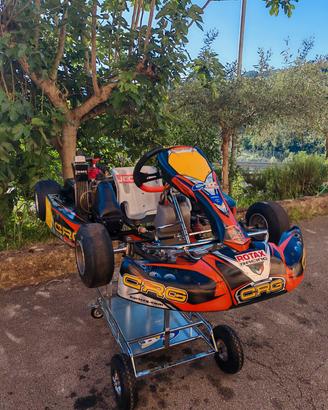 Kart mini/micro Rotax 