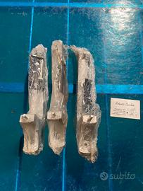 Porta ruota vespa 50 Special primavera et3