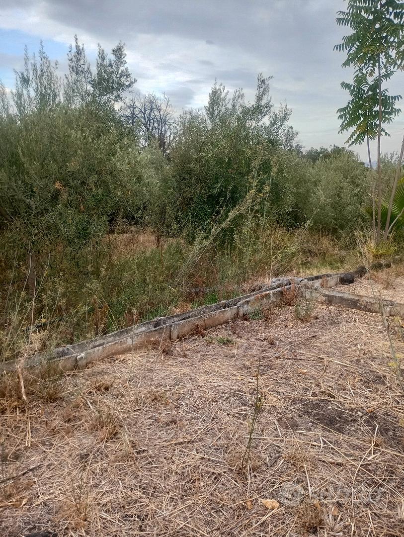 terreno agricolo - Vista 2