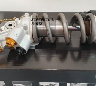 DUCATI PANIGALE MONO OHLINS TTX GP MOLLA TITANIO