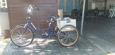 Bici 3 ruote