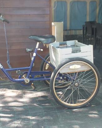 Bici 3 ruote