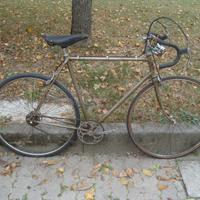 Bicicletta corsa Caneschi, Campagnolo 2 stecche