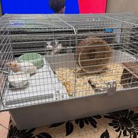 Gabbietta cavie 80 ferplast