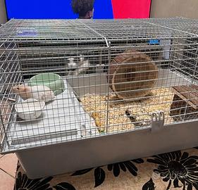 Gabbietta cavie 80 ferplast