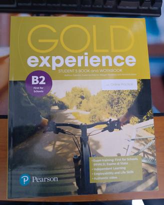 Gold experience B2