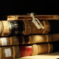 Ripetizioni latino,greco, materie umanistiche