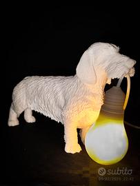 Lampada bassotto a pelo duro