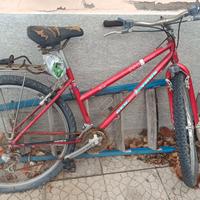 bicicletta gratis 