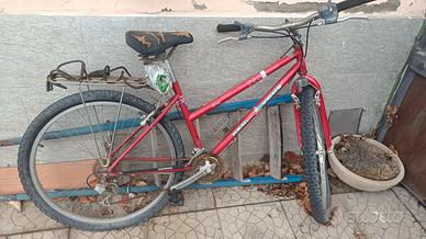 bicicletta gratis 