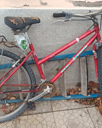 bicicletta gratis 