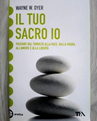 Libro: Il tuo sacro io