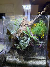 Terrario / paludario