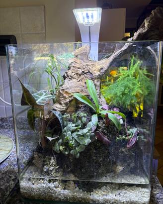 Terrario / paludario