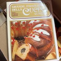 Grande enciclopedia della cucina Curcio
