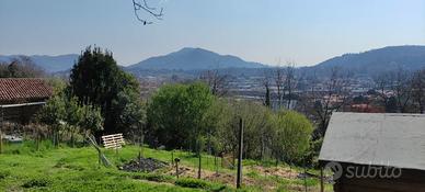 terreno agricolo 