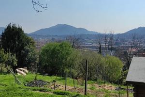 terreno agricolo 
