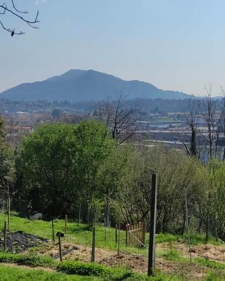 terreno agricolo 