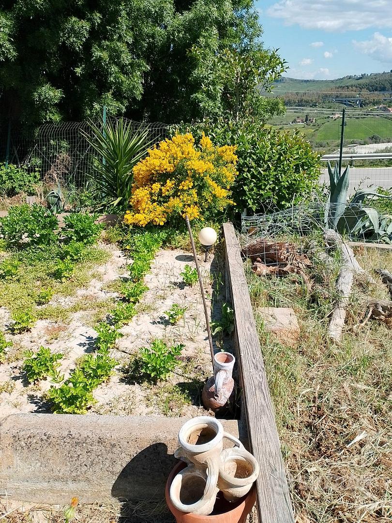 Terreni e rustici - Vista 3