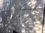 Immagine 26
