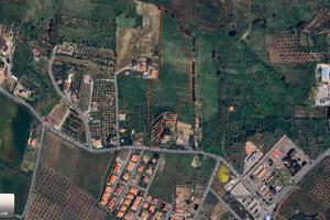 Terreno agricolo