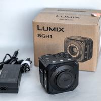 LUMIX BGH1