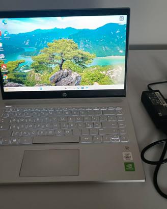 HP Pavilion ce3035NL, i7 1065G7, MX250, win11
