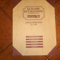 Stampe da collezione 6