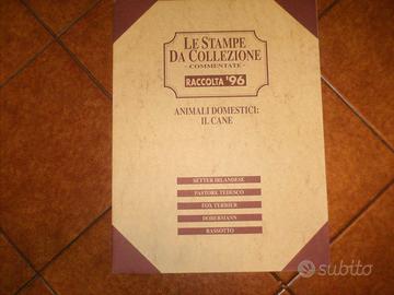 Stampe da collezione 6
