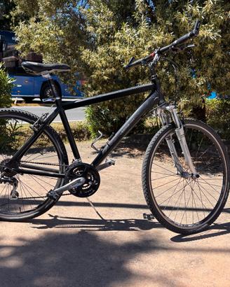 Titolo: Coppia bici alluminio uomo/donna - Shimano