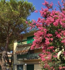 Appartamento 8/9 posti letto - MARINA DI MASSA