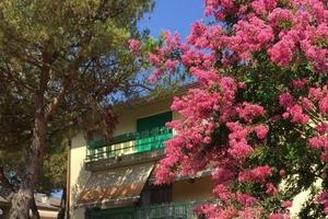 Appartamento 8/9 posti letto - MARINA DI MASSA