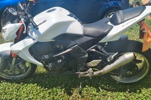 z1000 