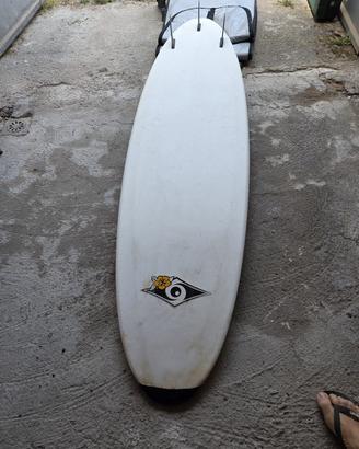 Tavola surf Mini Malibu’