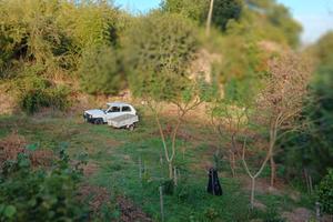 Terreno a Vitorchiano loc. Poggio Pasquale